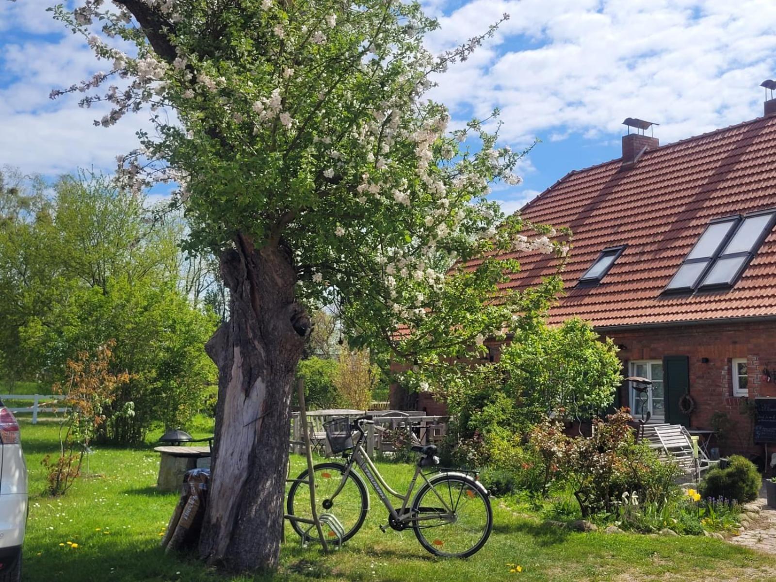 Seminar Und Landhaus Schoenbeck Schonbeck  外观 照片