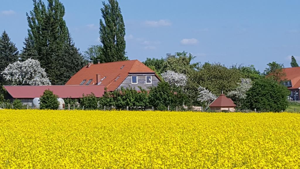 Seminar Und Landhaus Schoenbeck Schonbeck  外观 照片